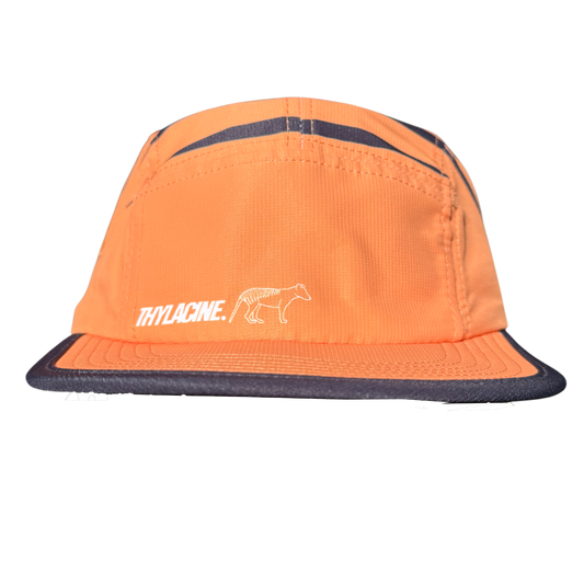 THYLACINE 5-PANEL – LIMITED RELEASE